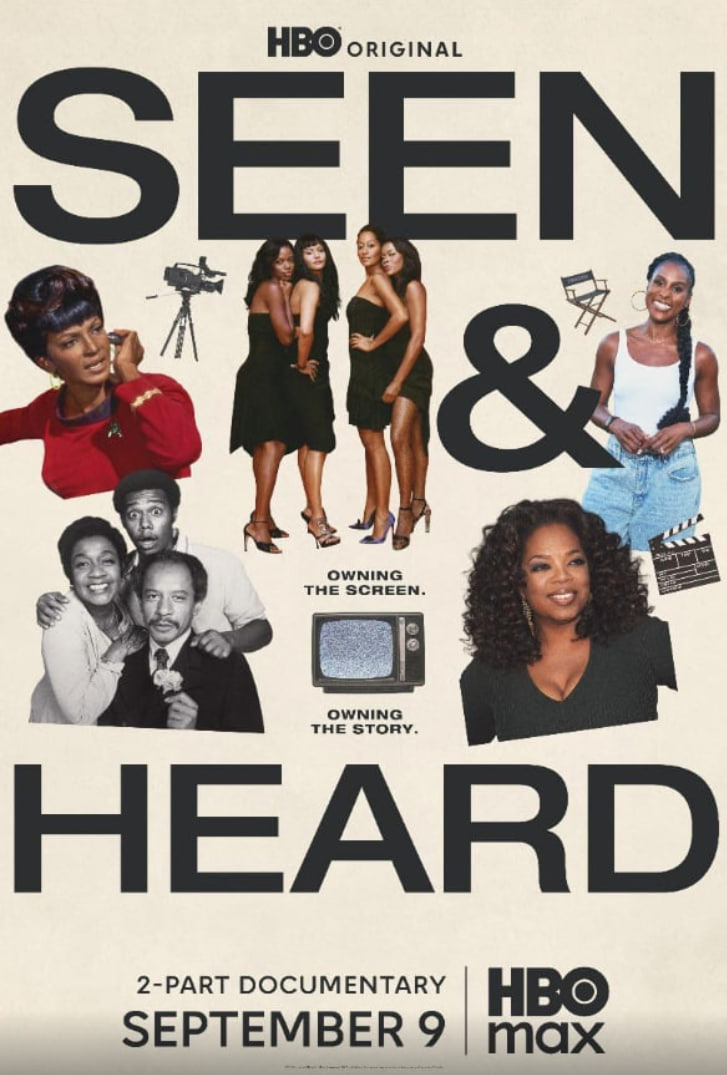 所见所闻黑人电视史