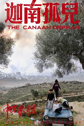中东大宝荐2迦南孤儿