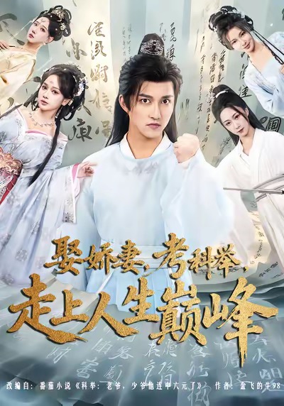 娶娇妻考科举走上人生巅峰