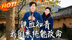 铁血知青我的系统能改命