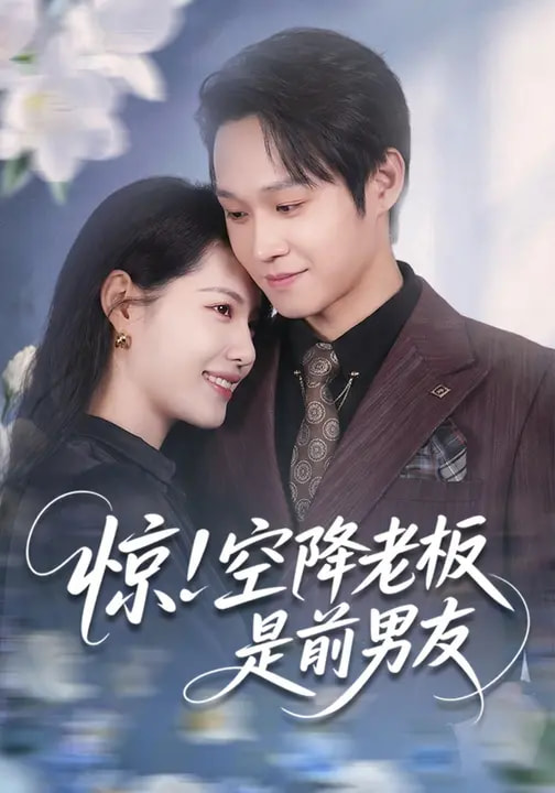 惊空降老板是前男友